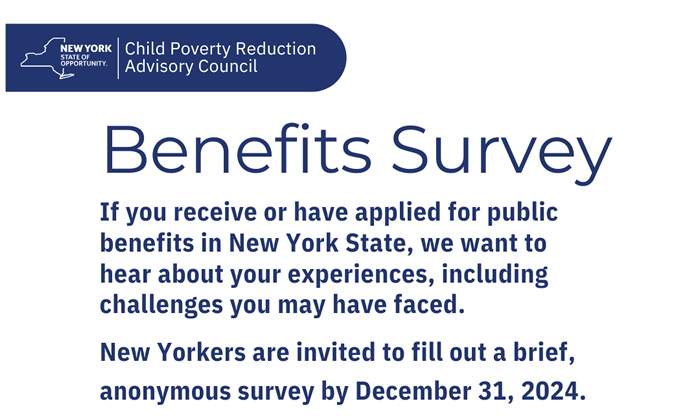 Public Benefits Survey