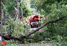 Labor Day Storm 1998