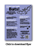 Bat Flyer