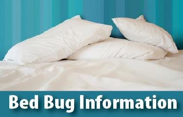 Bed Bug Info