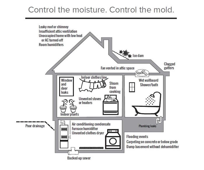Control the moisture.  Control the mold.