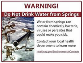 NYSDOH - Don't Drink Water From Roadside Springs Brochure (PDF)
