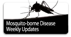 mosquito-borne disease info