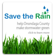 save the rain