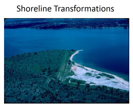 Shoreline Transformations