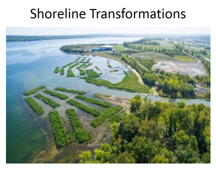 Shoreline Transformations