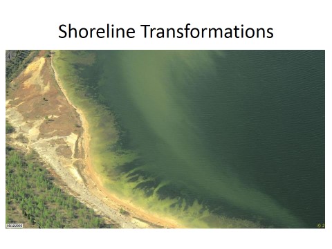 Shoreline Transformations