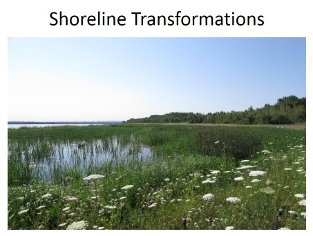 Shoreline Transformations