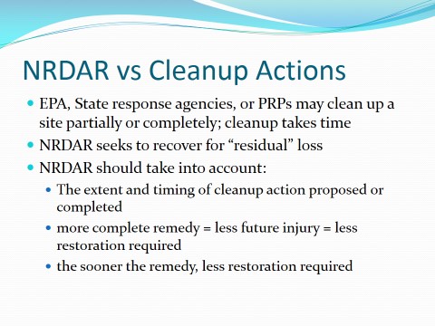 NRDAR VS CLEANUP