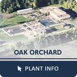 Click for Oak Orchard Plant Info