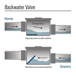 Diagram of a Backflow Valve