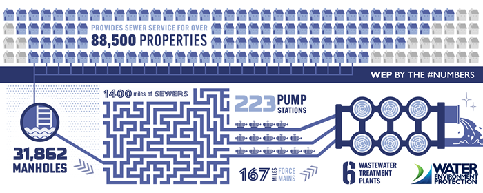 WEP by the Numbers Infographic
